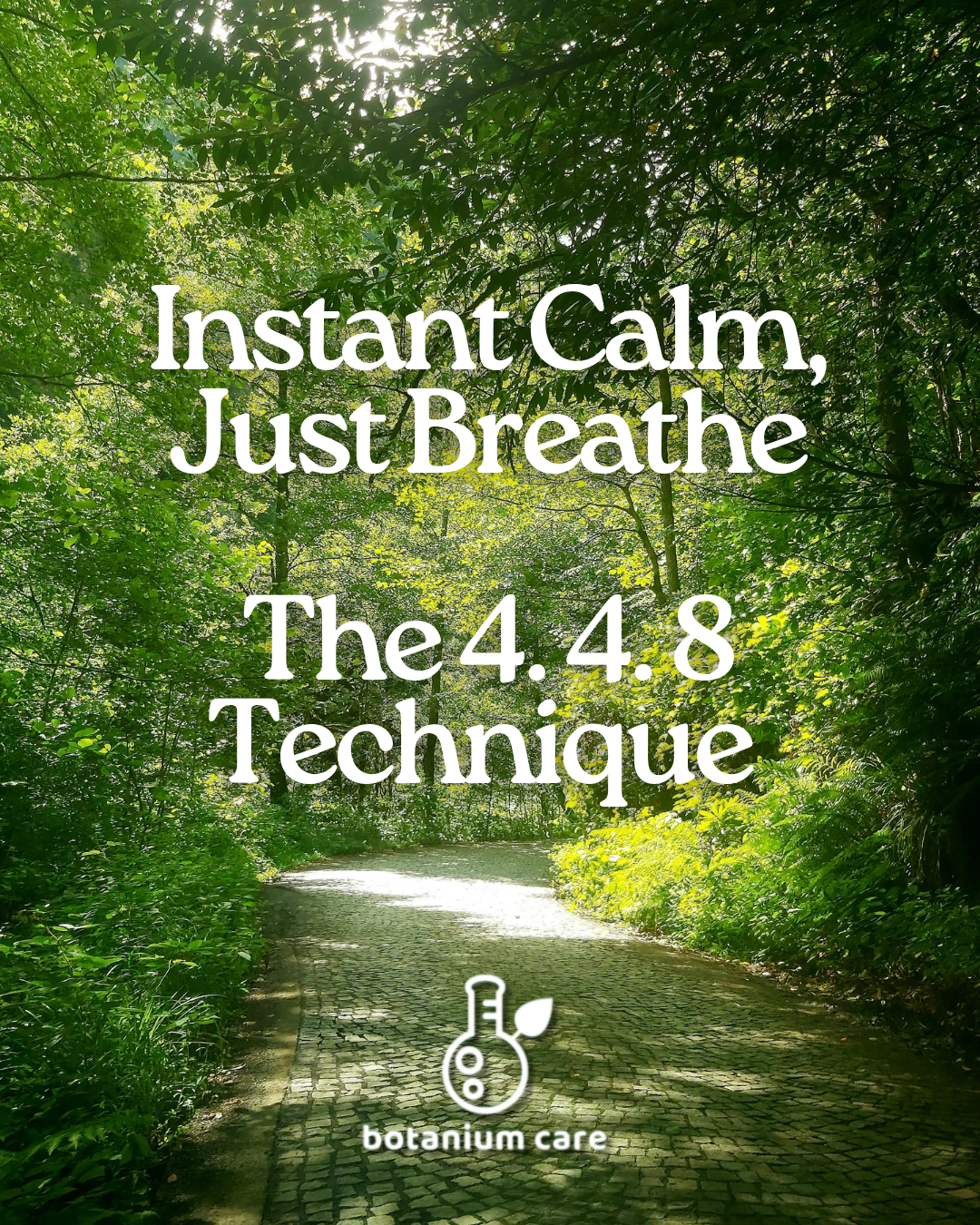 Breathe Your Way to Calm: The 4-4-8 Breathing Technique for Instant Stress Relief